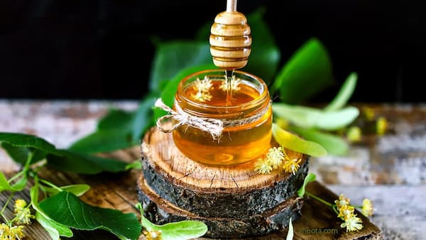 تصویر 5 از خرید عسل 10 کیلویی + قیمت فروش استثنایی